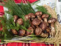 2025年最新】北海道 松茸の人気アイテム - メルカリ