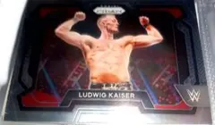 WWE　ルドウィグ・カイザー　プロレス　カード　専用商品