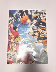 ハイキュー!!　映画　パンフレット　ゴミ捨て場の決戦