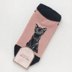 ポール＆ジョー　レディースソックス　黒猫　ピンク　ブラック　猫　ネコ　猫柄のサムネイル