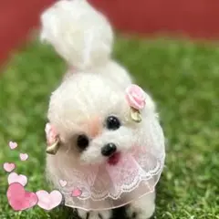 2025年最新】羊毛フェルト マルチーズの人気アイテム - メルカリ