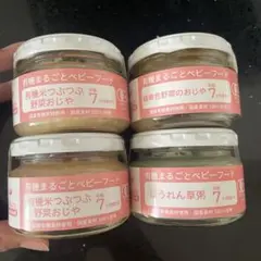 有機米つぶつぶ野菜おじや・離乳食セット