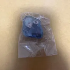 エーステ アクリルクリップ