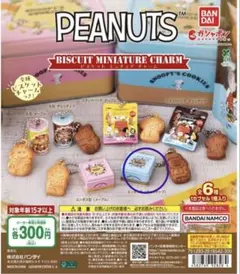 PEANUTS ビスケットミニチャーム