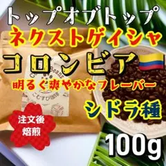 自家焙煎コーヒー豆　コロンビア ファン・マルティン農園 シドラ種　100gのサムネイル
