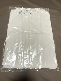ハニーズ　ピンタックブラウス長袖　スタンドカラー　アイボリー　Mサイズ