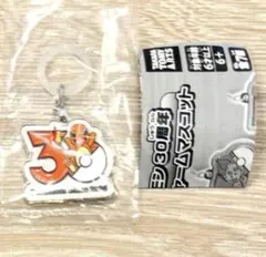 ポケモン30周年 メタルチャームマスコット