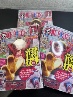 ワンピース マガジン 20号 カード付き 3点