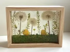 2025年最新】タンポポの綿毛ドライフラワーの人気アイテム - メルカリ