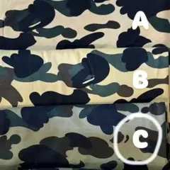 Item thumbnail for item e71ac88b-036c-4798-9331-74270b74d92d