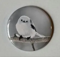 Item thumbnail for item 28447bdd-c301-4ded-899a-fe8bde7099b9