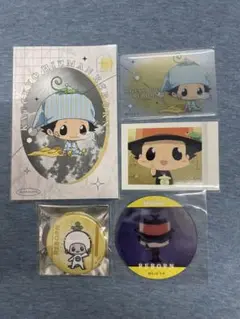 家庭教師ヒットマンREBORN! リボーン カード　ポスーカ　缶バッジ　5点