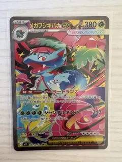 2025年最新】フシギバナsarの人気アイテム - メルカリ