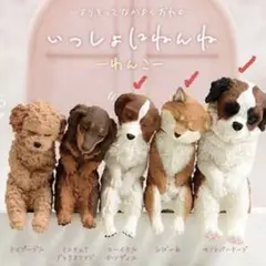 【CBT123】9cm級 おきあがりこぼし(大) スベトラーナ セントバーナード Amazon.co.jp: lilizzhoumax セントバーナード 犬のぬいぐるみ