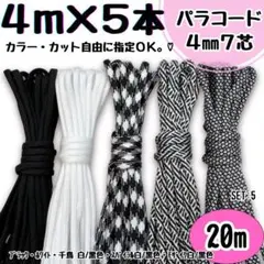 Item thumbnail for item ef3c54ac-7b24-4b03-8979-fb4adeee9cf7