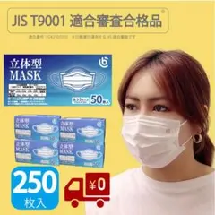 立体型マスク　5箱セット（合計250枚）