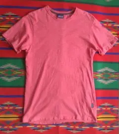 美品☆【Patagonia】 オーガニックコットン Tシャツ S