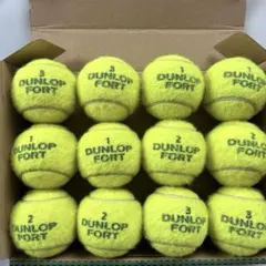 DUNLOP FORT 硬式テニスボール 12球セット ダンロップ フォート
