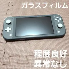 Nintendo Switch Lite グレー 0413