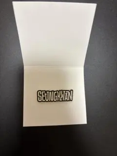 seventeen holiday ペンミ ピンズ ピンバッジ スングァン