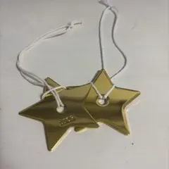 DIOR 星　チャーム