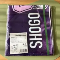 田島将吾　フォトスローガン