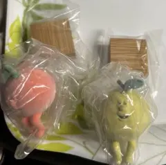 かんだあきら　ふしぎな果実　2個