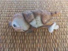 ねこ　ネコ　猫　まどろんでいる猫