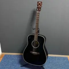 Morris M-12II BLK スプルース トップ単板 ケース&セット付き - メルカリ