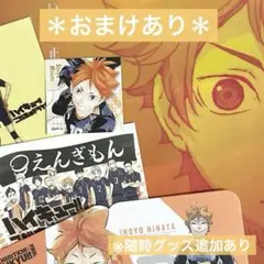 ＊未使用＊ ハイキュー!! 日向翔陽 ゴミ捨て場の決戦 プラザ 缶バッジ