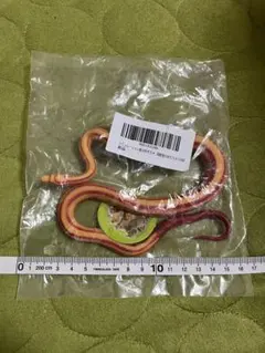 ヘビのおもちゃ