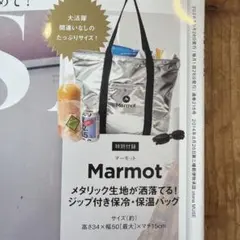 オトナミューズ10月号増刊付録のみ。新品未開封