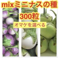 Nipaporn様 リクエスト 3点 まとめ商品