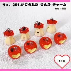 No.251 かじられた りんごチャーム 10個セット♡