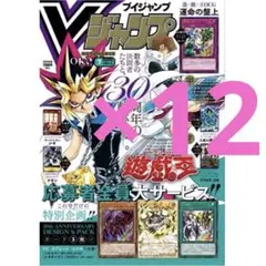 新品Vジャンプ 7月特大号 遊戯王 30周年記念付録全特典応募も付き13冊