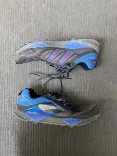 Brooks Cascadia 12のサムネイル