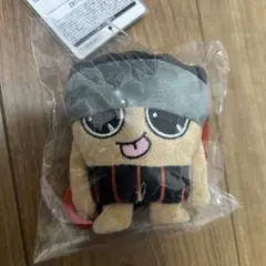 本日発送可 BBBros フラットマスコット キューボ シュント - メルカリ
