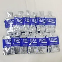 ポカリスウェット アイススラリー 100g×12袋のサムネイル