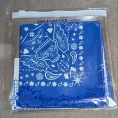 三代目JSB FOREVER ONE 今市隆二 ポーチ入りバンダナ