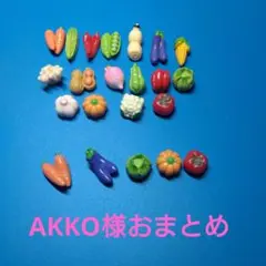 AKKO様おまとめ