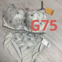 G75 チュチュアンナ　永遠のブラ　ブラショーツセット