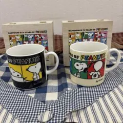 スヌーピー PEANUTS 75th 木箱入マグカップ　2個セット❣️