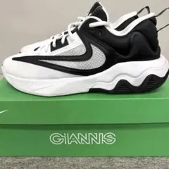 新品 NIKE ナイキ バスケットシューズ バッシュ スニーカー 29