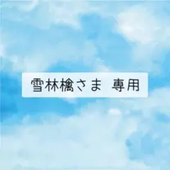 雪林檎さま 専用