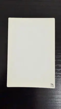 遊戯王 フィラーカード エラーカード テストカード 流出品 カラー 英語