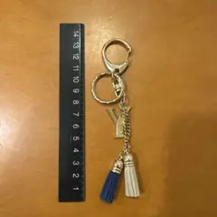 バックチャーム