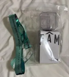 timelesz LIVE TOUR FAM DOME ペンライト　銀テープ付き