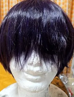 クラッセ ウィッグ ショート ダークパープル