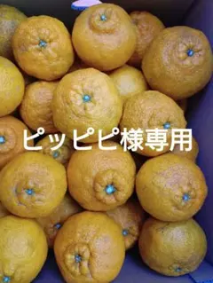 ピッピピ様専用