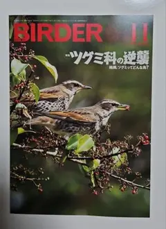 2025年最新】birder 2024の人気アイテム - メルカリ